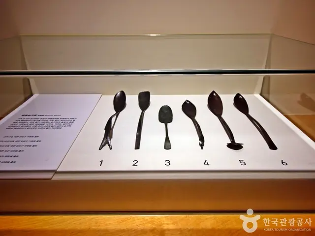 대전선사박물관 사진