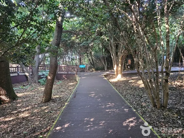 오동도 등대 사진