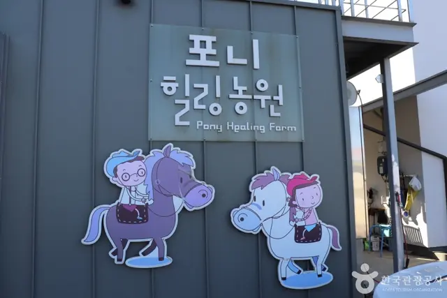 포니힐링관광농원 (힐링공유팜) 사진