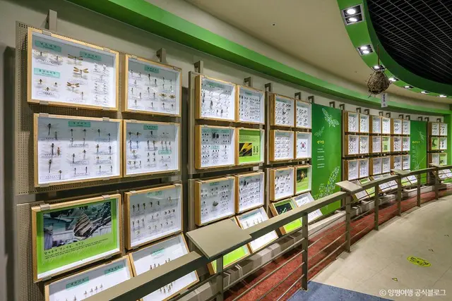 양평곤충박물관 사진