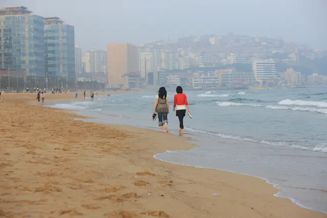 해운대해수욕장 사진