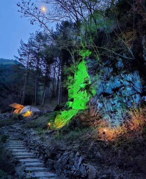 그린필로우 사진