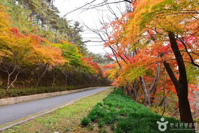 백아산자연휴양림 사진