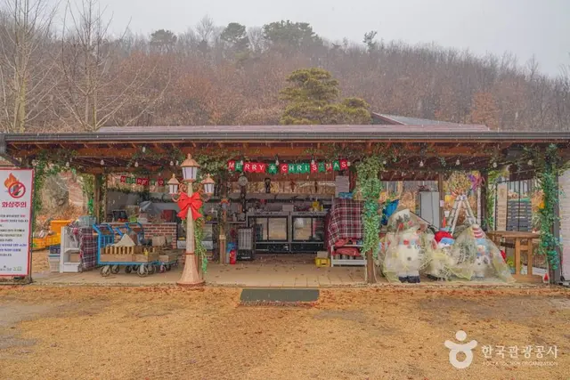 헤이리농원 사진