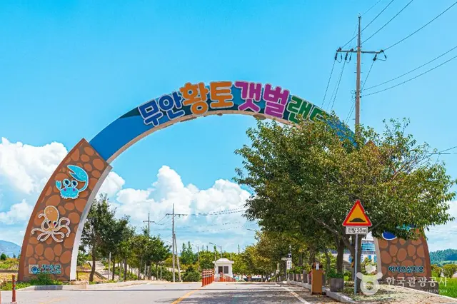무안황토갯벌랜드 사진