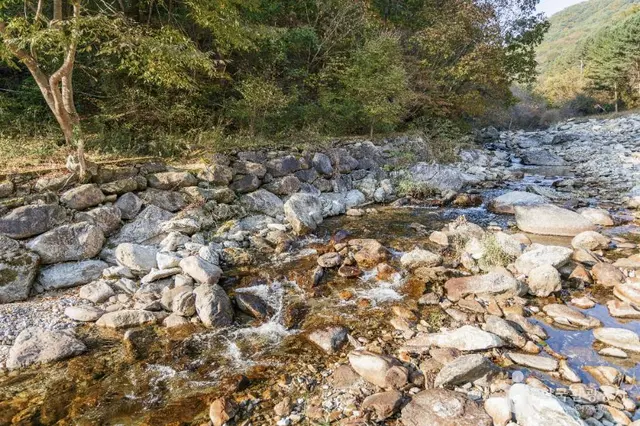 명지계곡 사진