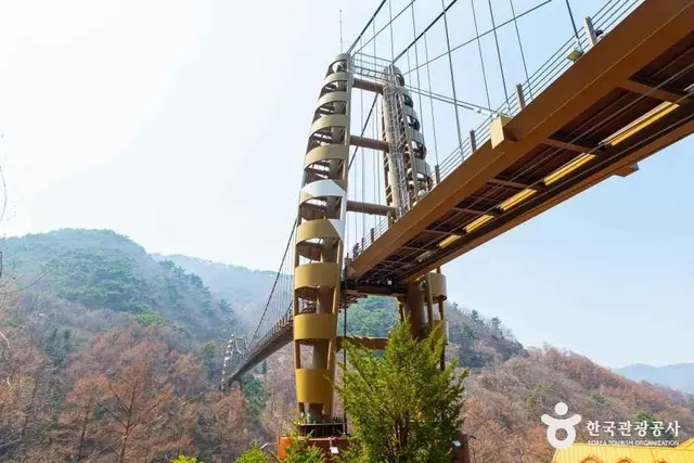 좌구산 자연휴양림 사진