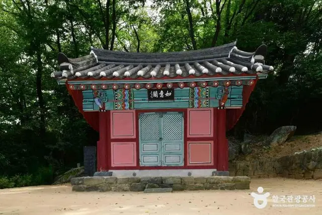 봉황대공원 사진