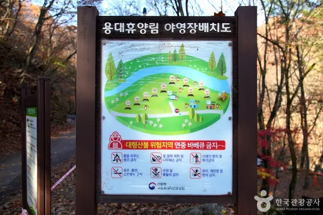 국립 용대자연휴양림 사진