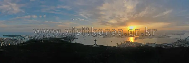 울산대교전망대 사진