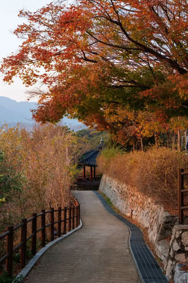 마로니에공원 사진