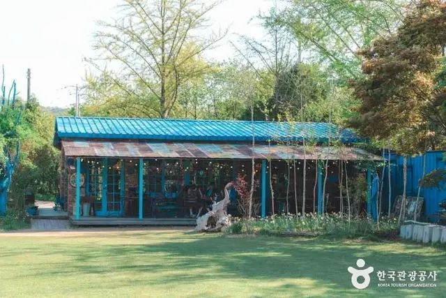 아미미술관 사진