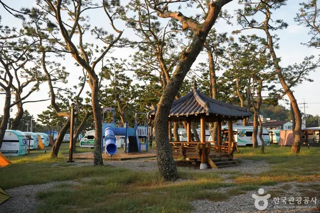 오류고아라해변 사진