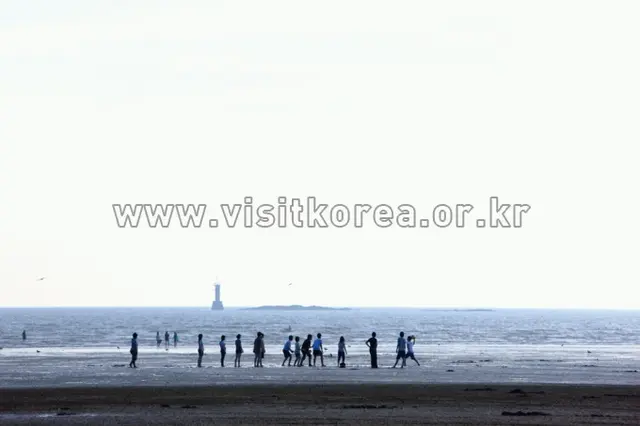 몽산포해수욕장 사진