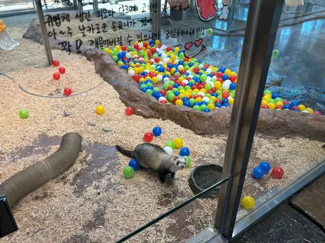 와글와글 동물원 사진