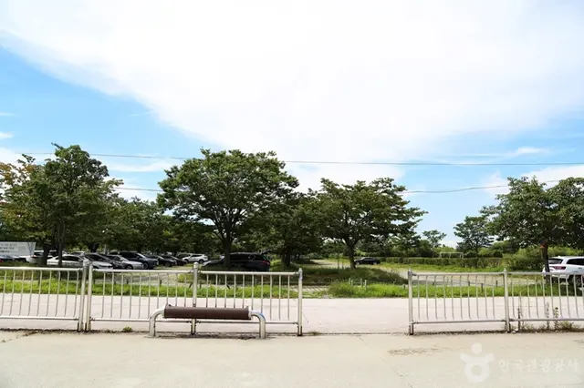 삼락강변체육공원인라인스케이트장 사진
