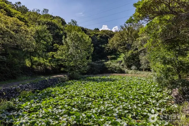 한라수목원 사진