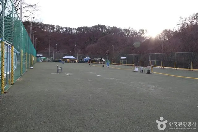 일영한씨네 사진