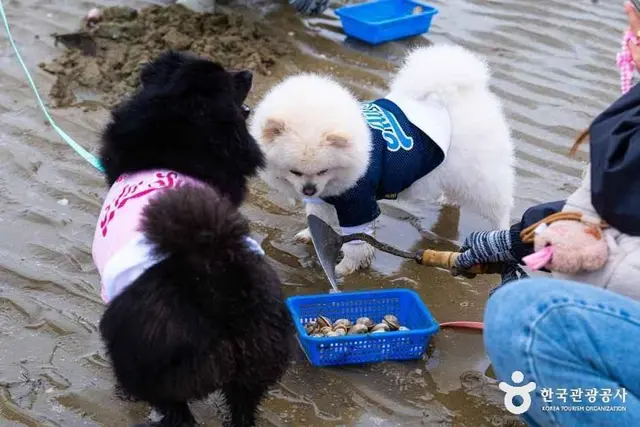 병술만어촌체험마을 사진