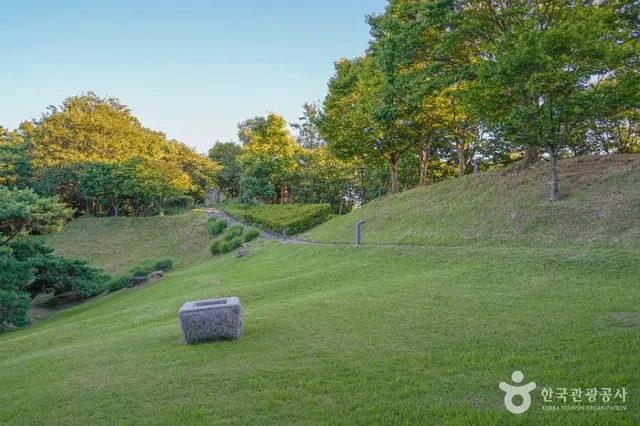 봉황대공원 사진