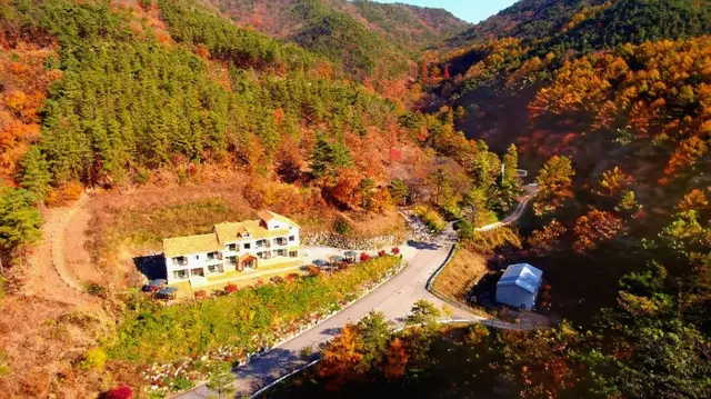 국립속리산말티재자연휴양림 사진
