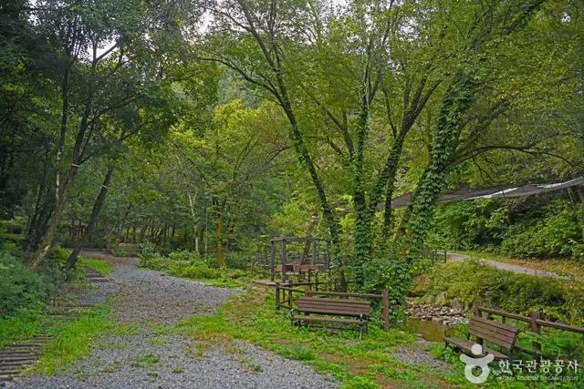 망경대산자연휴양림 사진