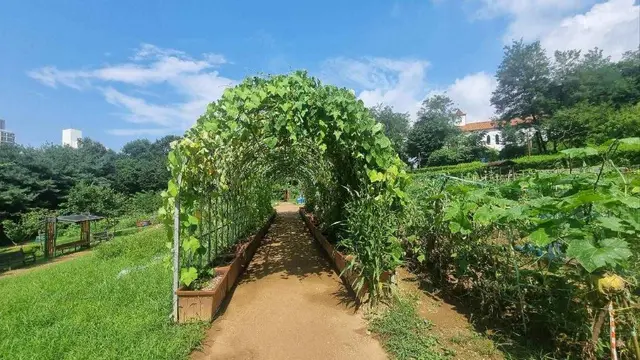 관악도시농업공원 사진