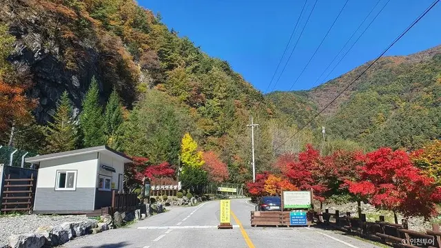 국립 가리왕산자연휴양림 사진