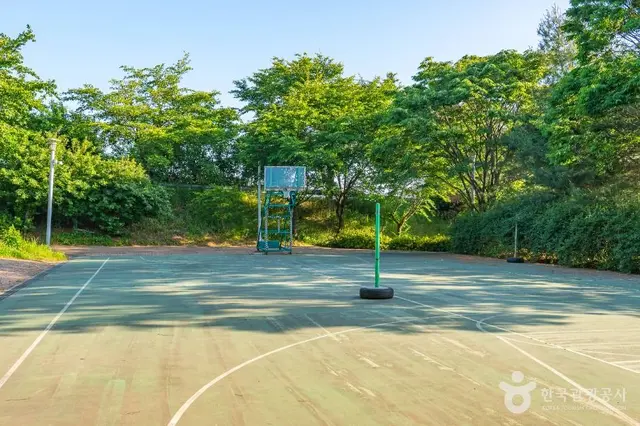 서탄금암체육공원 사진