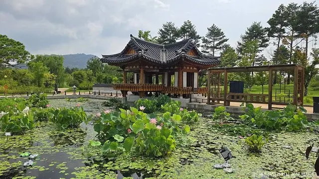 국립세종수목원 사진