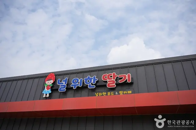 널위한딸기농장 사진