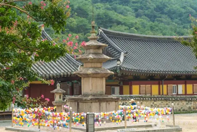 표충사 사진