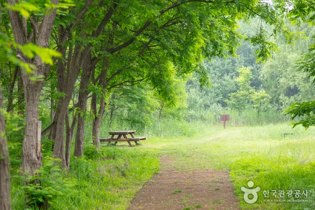 춘천 하중도수변생태공원 사진