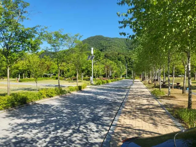 홍천강오토캠핑장 사진