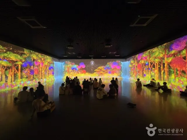 국립제주박물관 사진