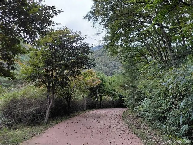 방화동자연휴양림·가족휴가촌 사진
