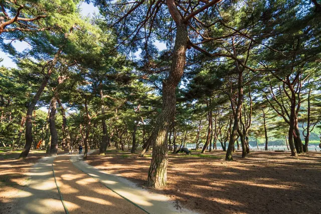 하동송림공원 사진
