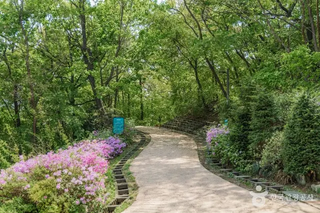 북서울꿈의숲 유아숲체험원 사진