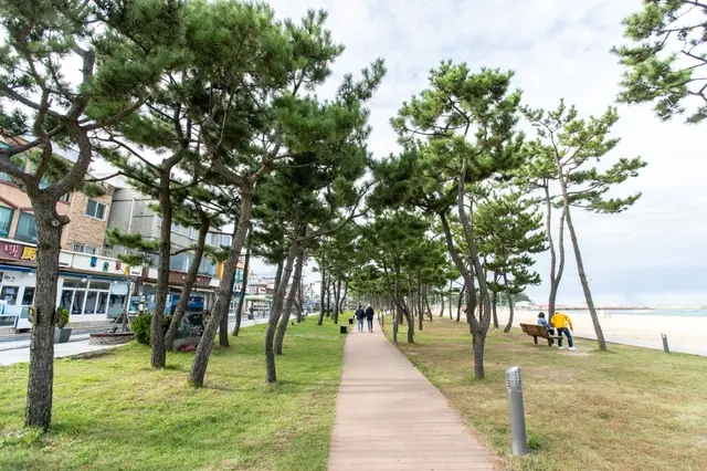 낙산해수욕장 사진