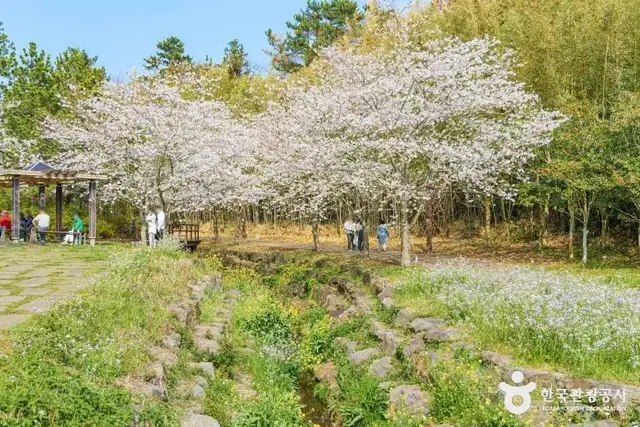 대왕수천예래생태공원 사진