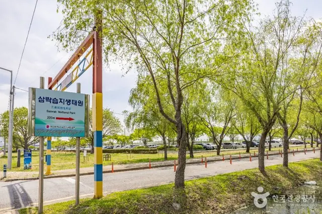 삼락생태공원 사진