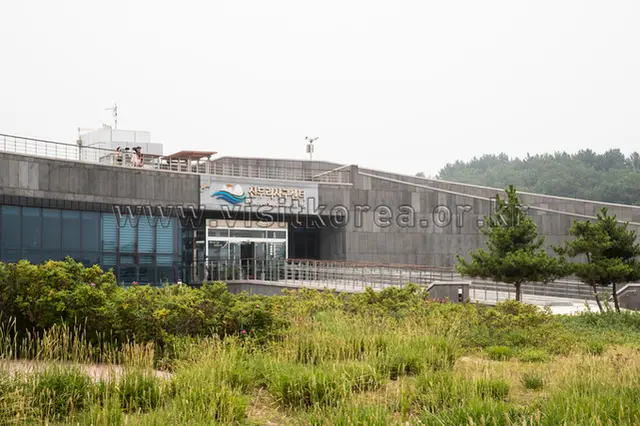 신두리 사구센터 사진