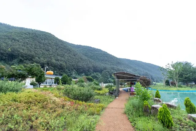 삼척미로정원 사진