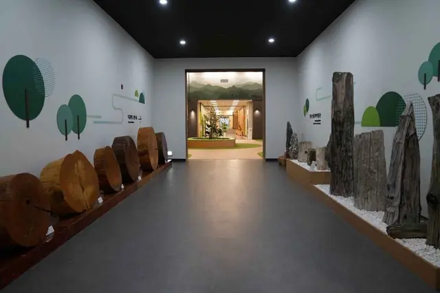 경상북도산림과학박물관 사진