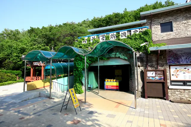 천곡황금박쥐동굴 사진