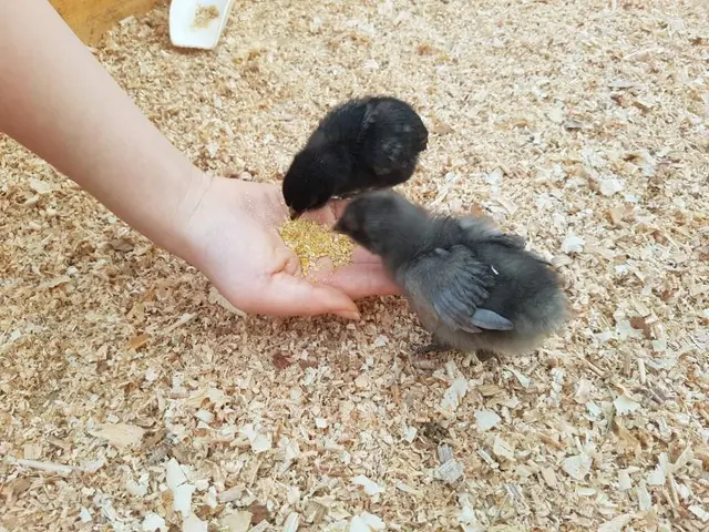 나눔농장(파주) 사진
