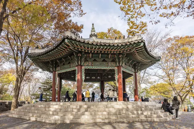 N서울타워 사진