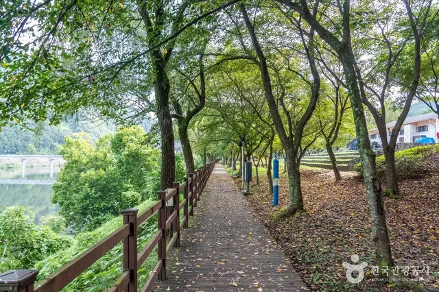 금강로하스대청공원 사진