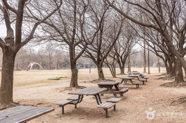서울숲 사진