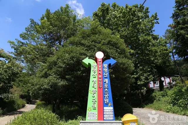 황령산레포츠공원 사진